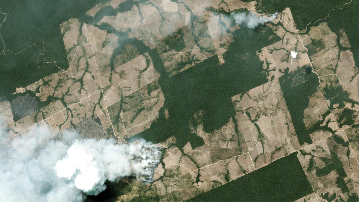 Aerial view of smoke billowing from a fire in the Amazon