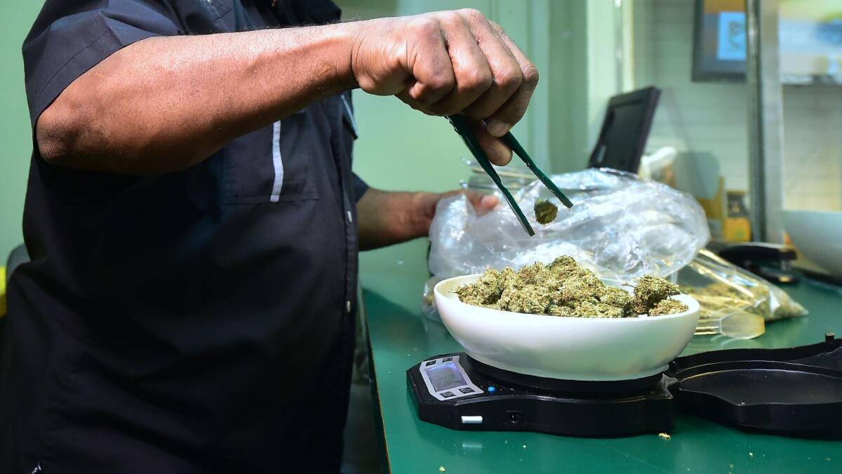 Marijuana is weighed on a scale at a Los Angeles dispensary subject to state regulations. On Monday, Irvine-based Weedmaps.com pushed back against the Bureau of Cannabis Control