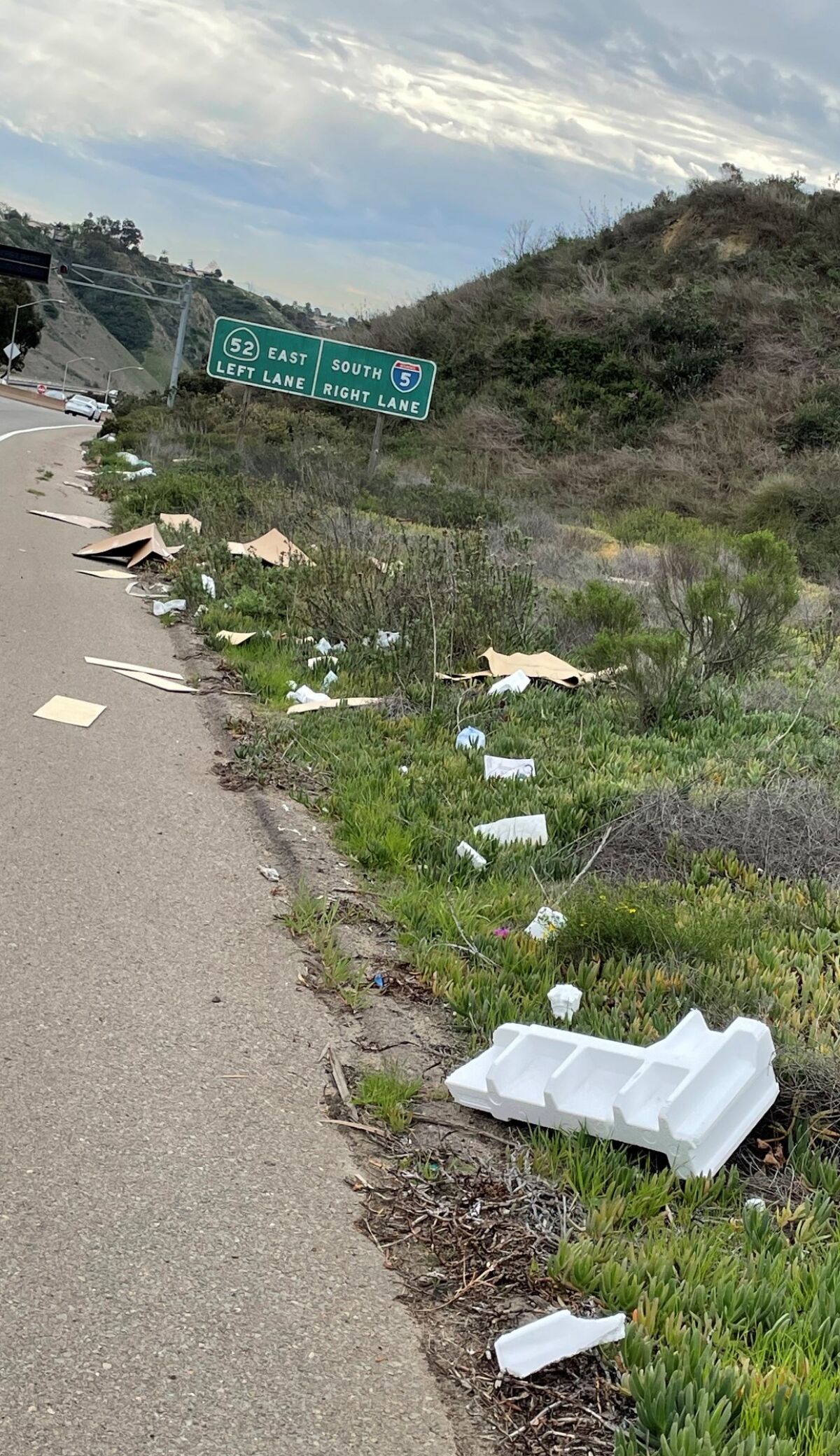 Dr. Rayan Hourani took this photo of trash along La Jolla Parkway.