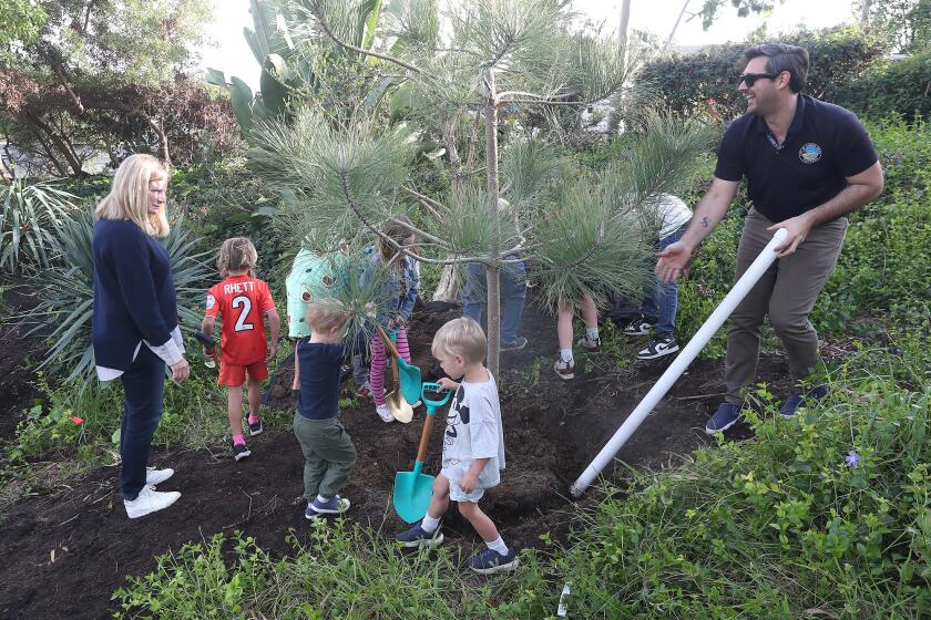Mayor Sue Kempf, left, and city arborist Matthew Barker, right, join kids in planting a celebratory pine tree during annual Arbor Day festival at Boat Canyon Park in Laguna Beach on Thursday.