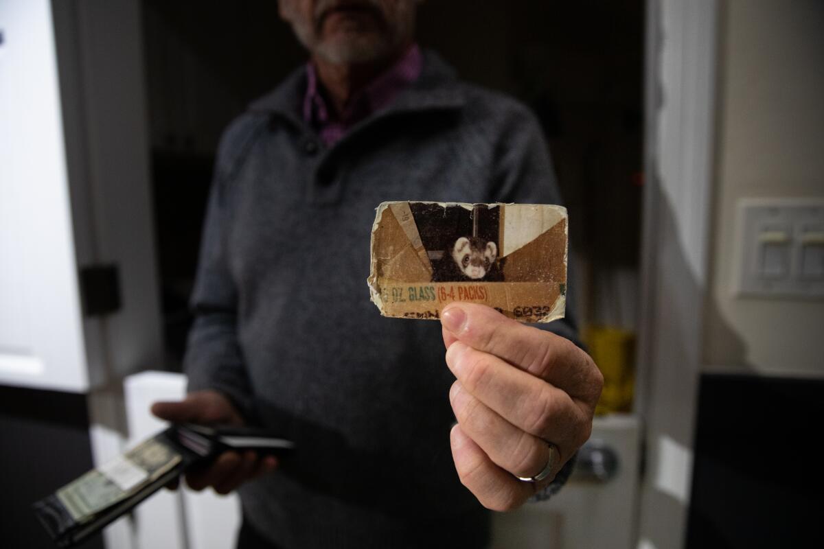 A man holding a photograph of a ferret