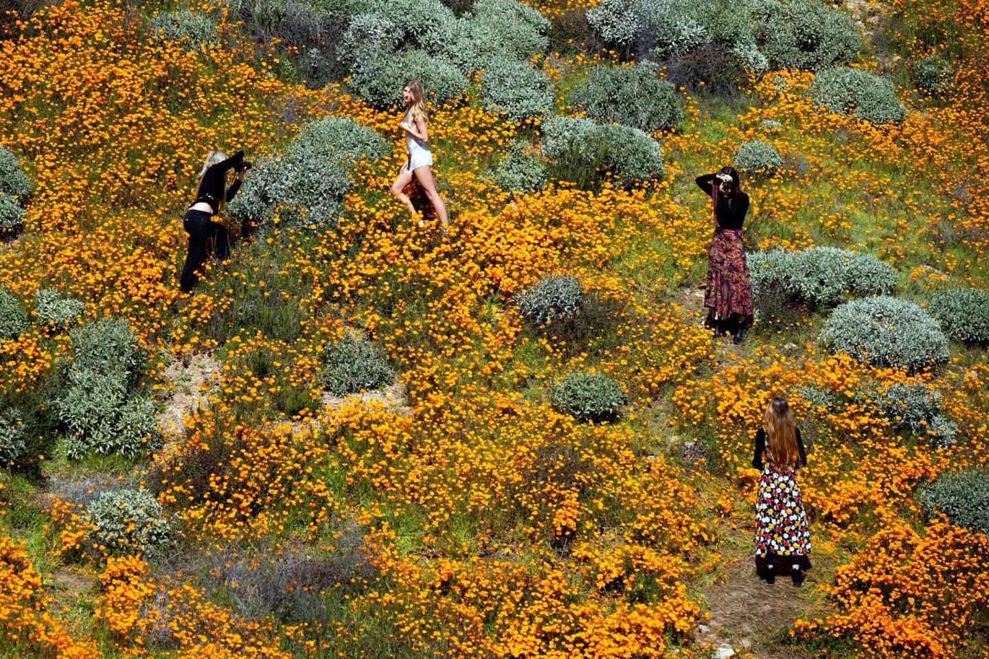 Floral-pattern clothes go with the theme in Walker Canyon, where visitors snap photos.