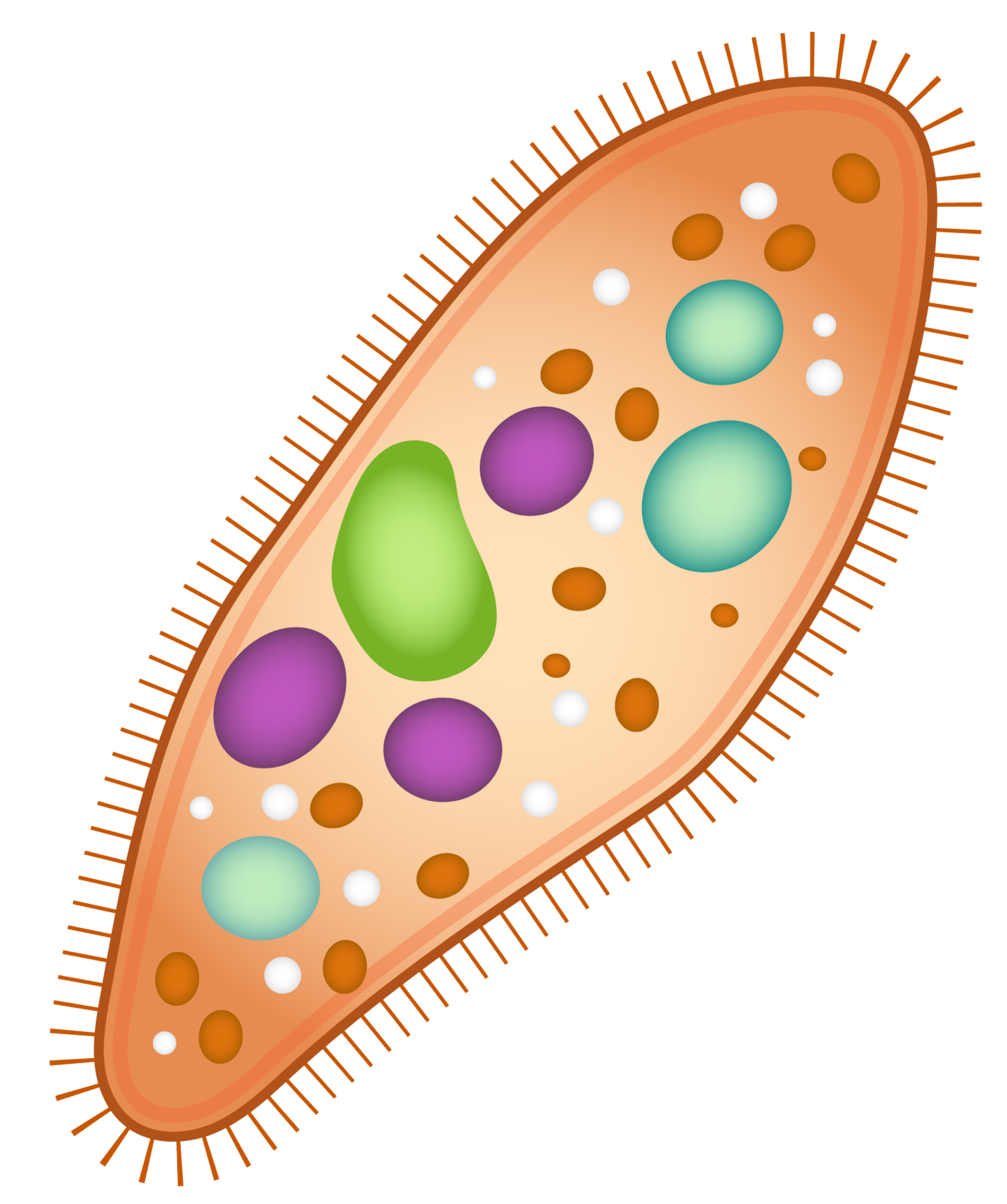 Most bodies of water contain paramecium. The emoji library could too.