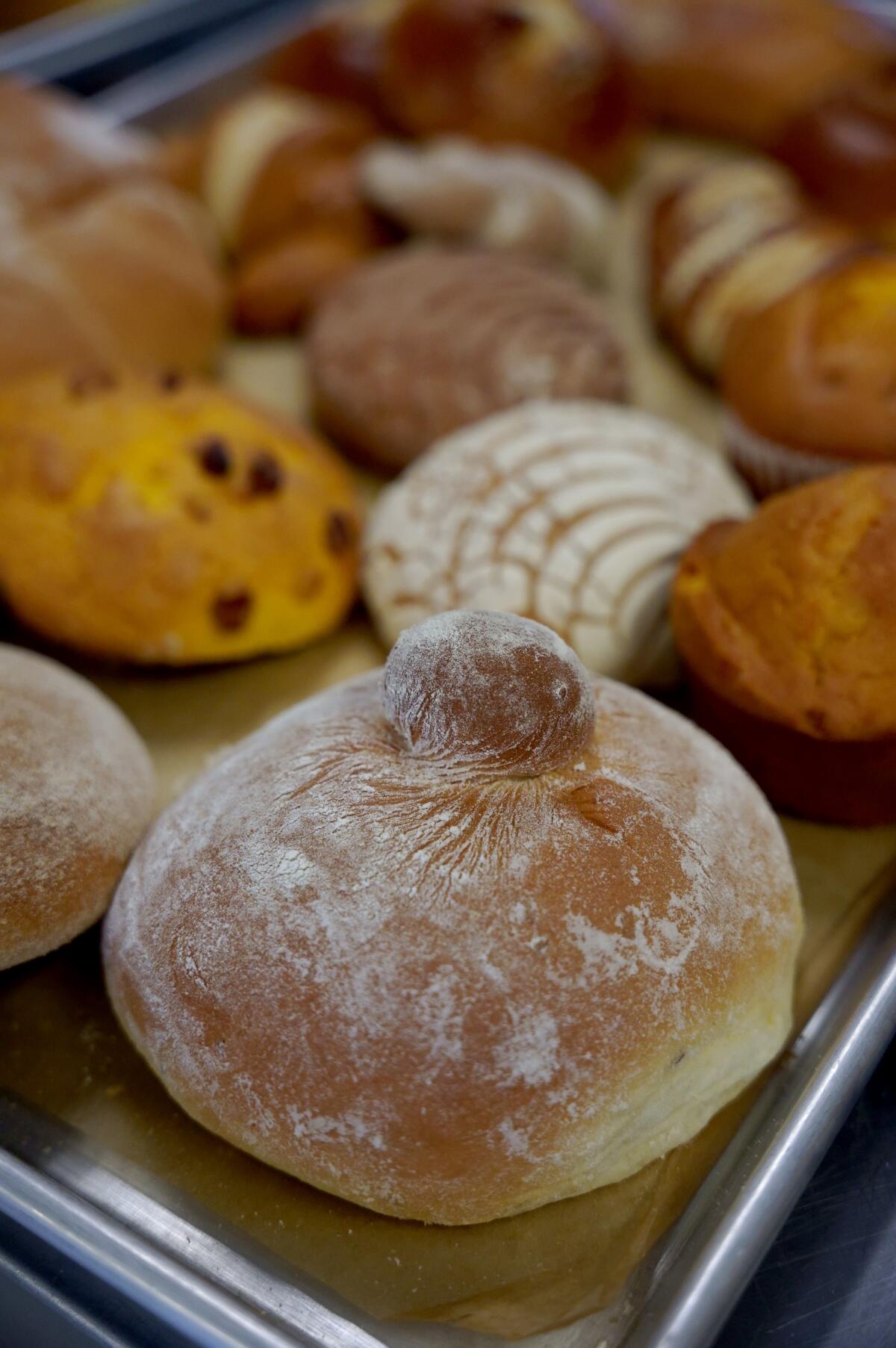 GuatePan Bakery produce coronas, cubiletes, conchas, gusanos, pan francés, cuernitos, pan de trigo y shecas.
