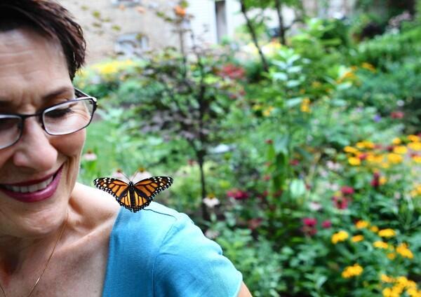 Loretta Downs with a monarch butterfly and milkweed plants in her bloom-happy Bucktown garden.