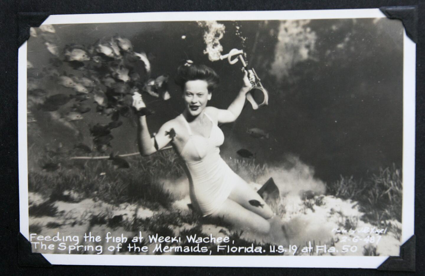 Pictures: Historical photos of Florida's springs