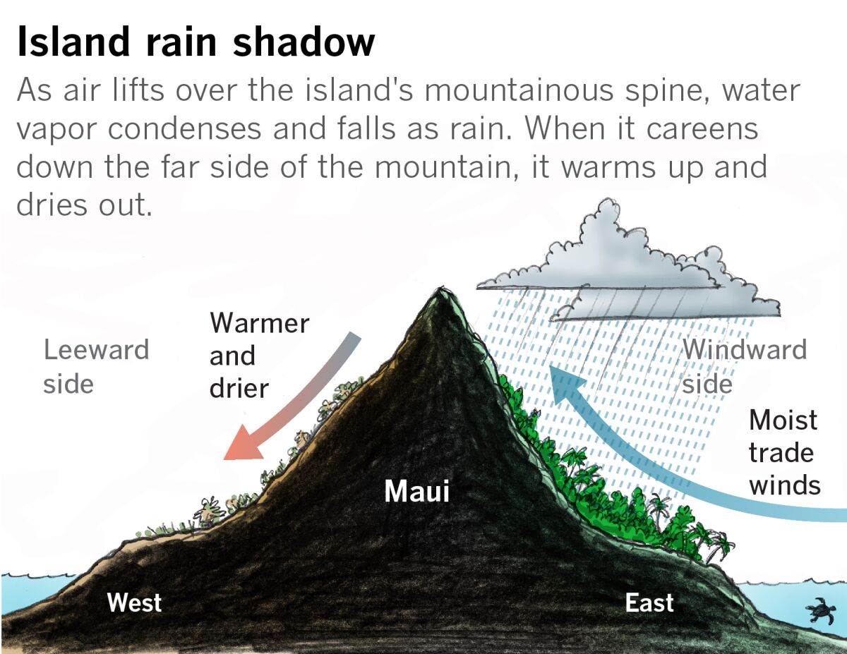 Graphic shows air lifting over an island mountain with rain falling on the west side and dried out air remaining on the west.