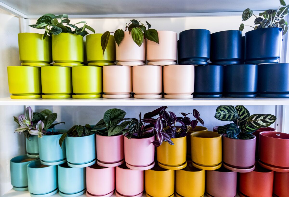 Stacks of planters form a sort of rainbow.
