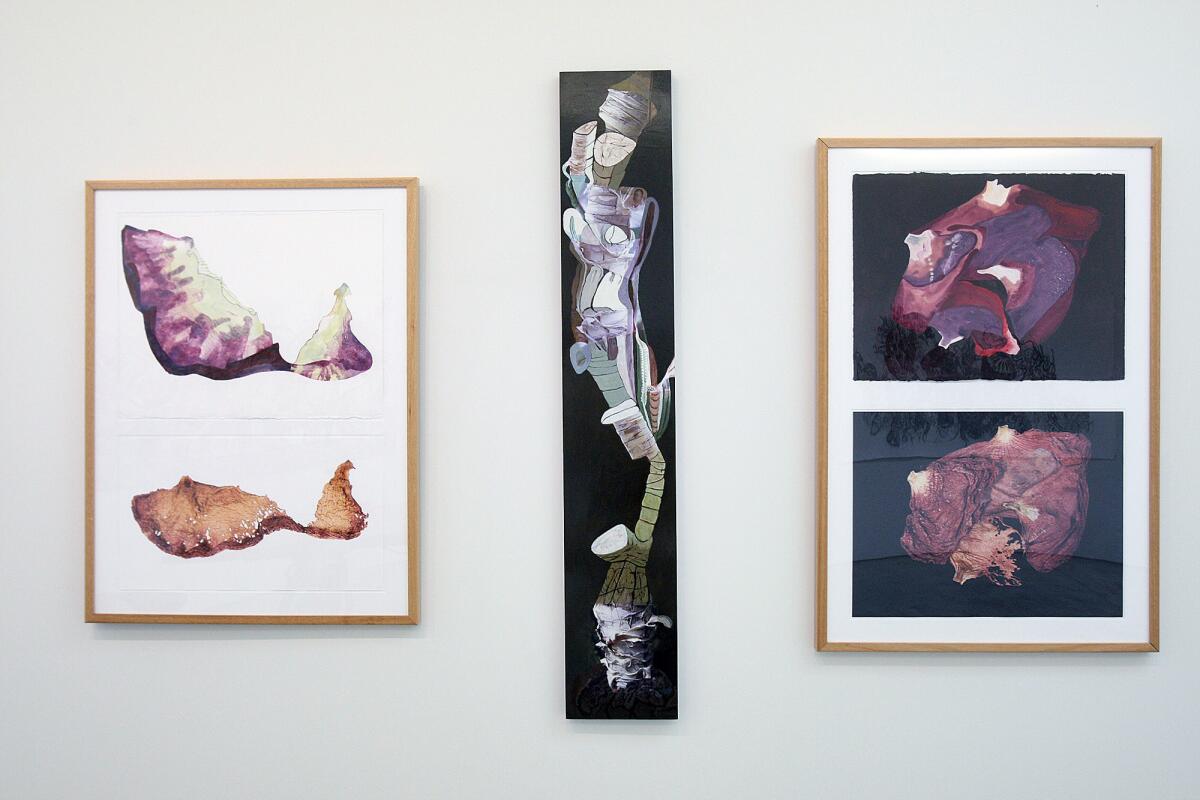 Artwork by Edith Hillinger, from left to right, entitled "Doubletake - Poppy Petal 9," "Spine," and "Doubletake - Poppy 1" are part of the art exhibit "Extracting from Nature" at the Sturt Haaga Gallery at Descanso Gardens in La Cañada Flintridge on Monday, May 5, 2014.