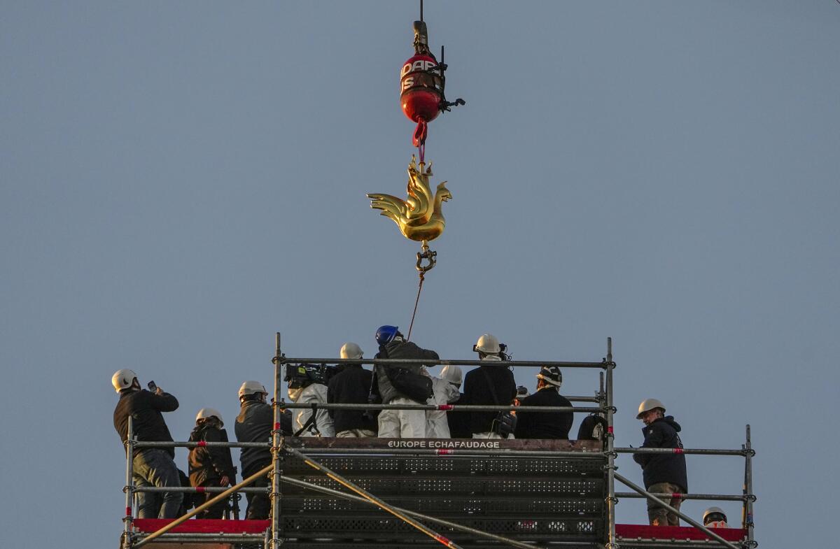 Ruling the roost! Notre Dame cathedral is adorned with brand new golden  rooster reimagined as a phoenix four years after fire devastated the iconic  Parisian landmark