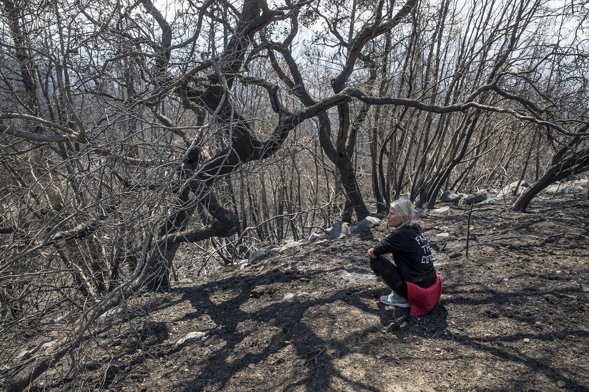 Jan Pascoe sits among the burned landscape near her home where she and husband John survived the firestorm Monday morning by running out of their home and into their neighbors swimming pool in Santa Rosa.