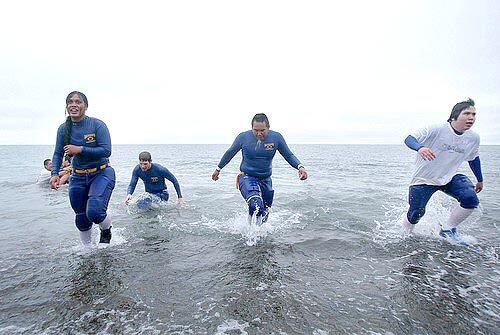A dip in the Arctic