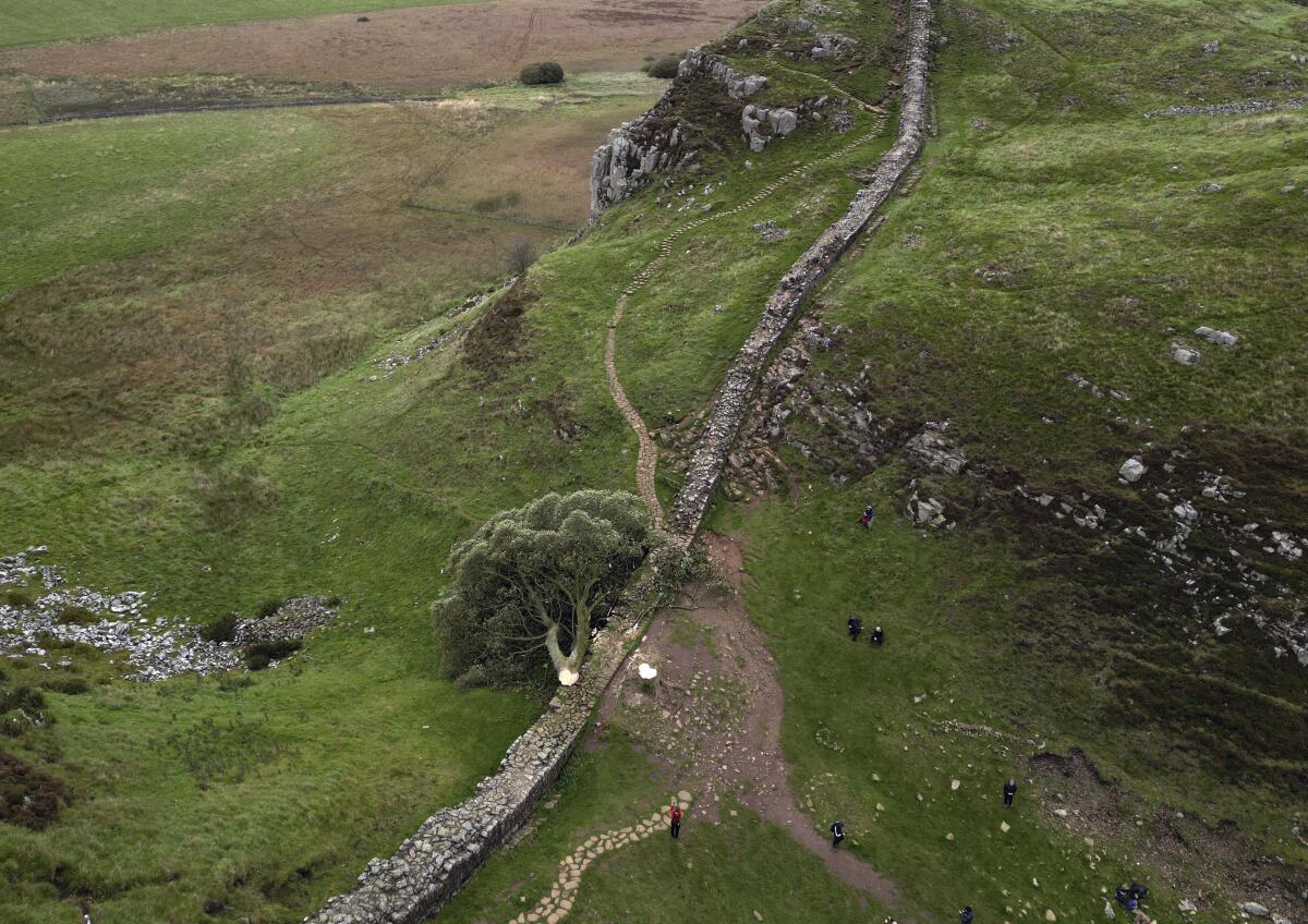 People look at the felled tree at Sycamore Gap, next to Hadrian's Wall, in Northumberland, England.