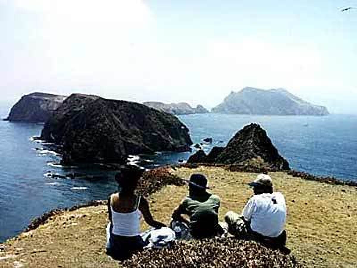 Visitors on East Anacapa relax at a vista overlooking Middle and West Anacapa islands, which lie 14 miles off the Ventura coast.