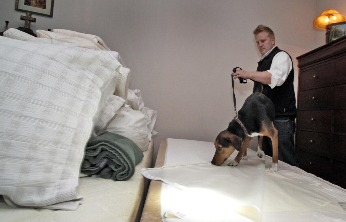 Erik Alden, a K–9 handler with ISO Tech Pest Management, works with one of his dogs sniffing for bed bugs. Reports of bed bugs in hotels can lower the value of hotel rooms, according to a study.