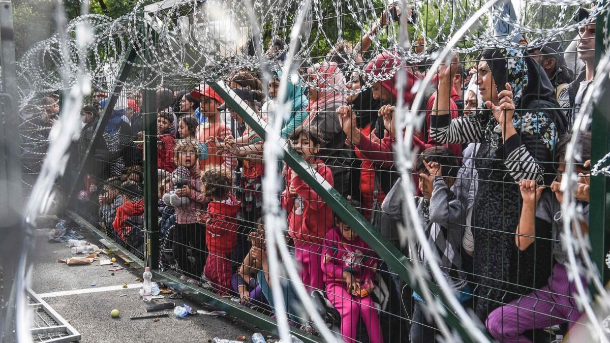 Refugees stand behind a fence at the Hungarian border, near the Serbian town of Horgos, on Sept. 16, 2015.