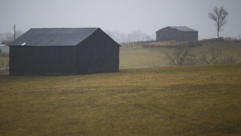 As Tobacco Sales Dry Up Kentucky Farmers Look To The State S