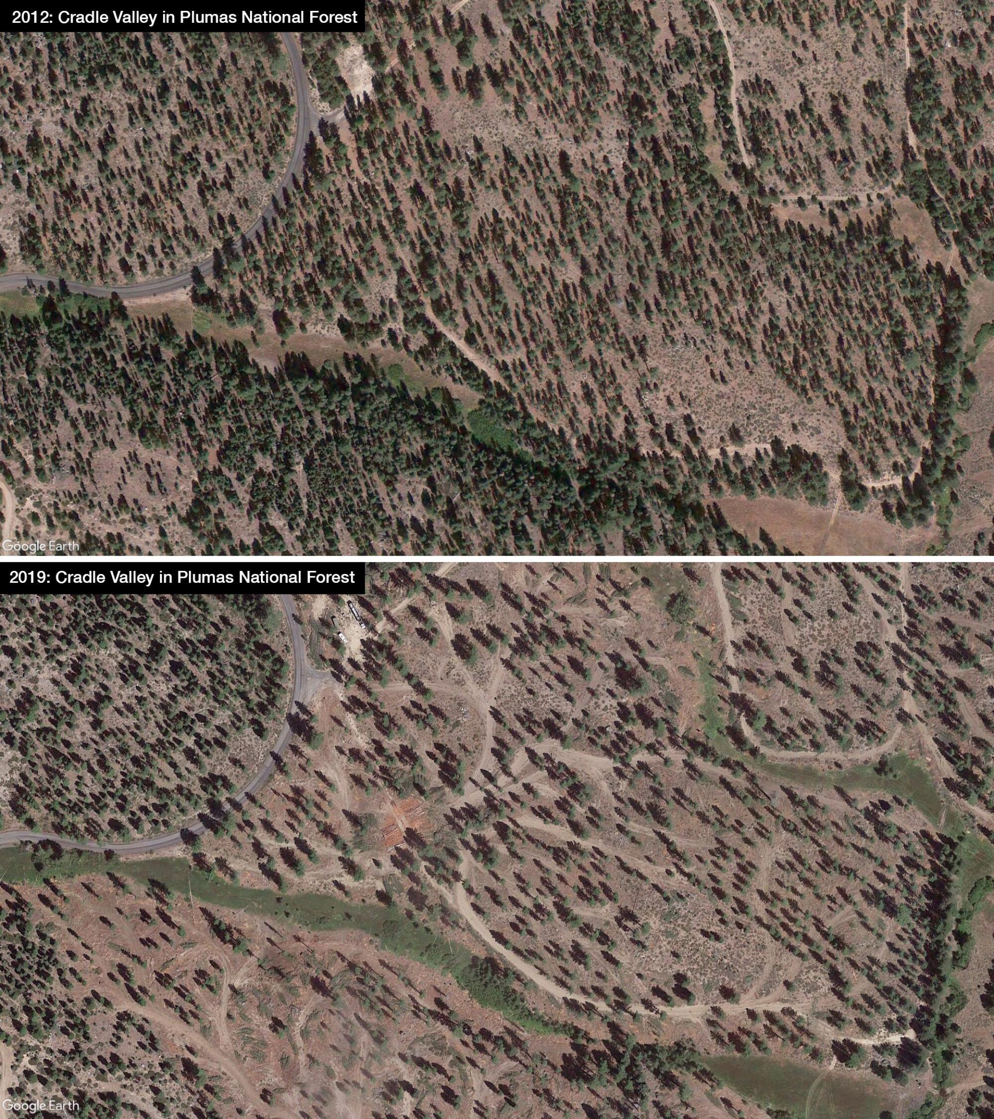"Before and after" satellite imagery of a logged forest.