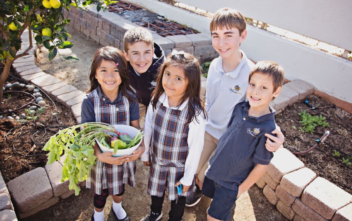 St. James students enjoy the garden bounty at their Green Ribbon School.