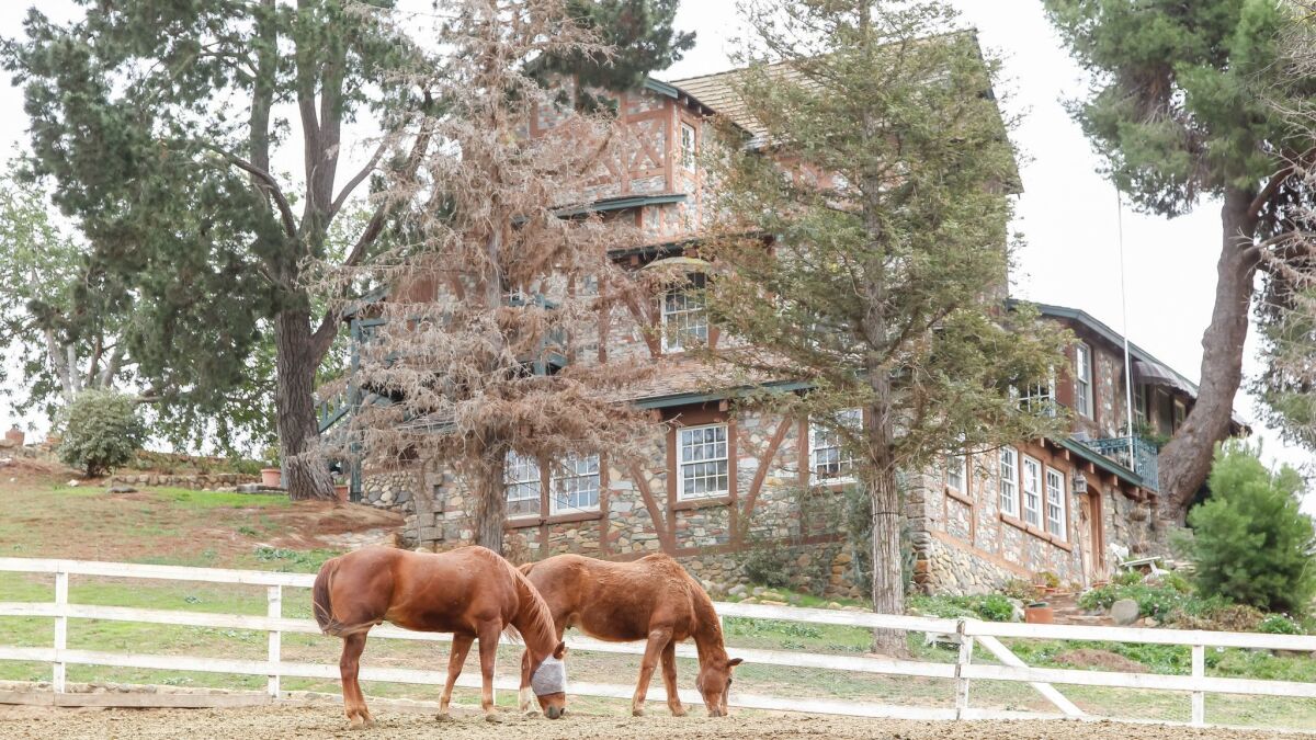 It cost $20,000 to clean the main house at the former HiCaliber Horse Rescue ranch in Valley Center, seen here in a file photo, after the tenants were evicted last month, the property owners said.
