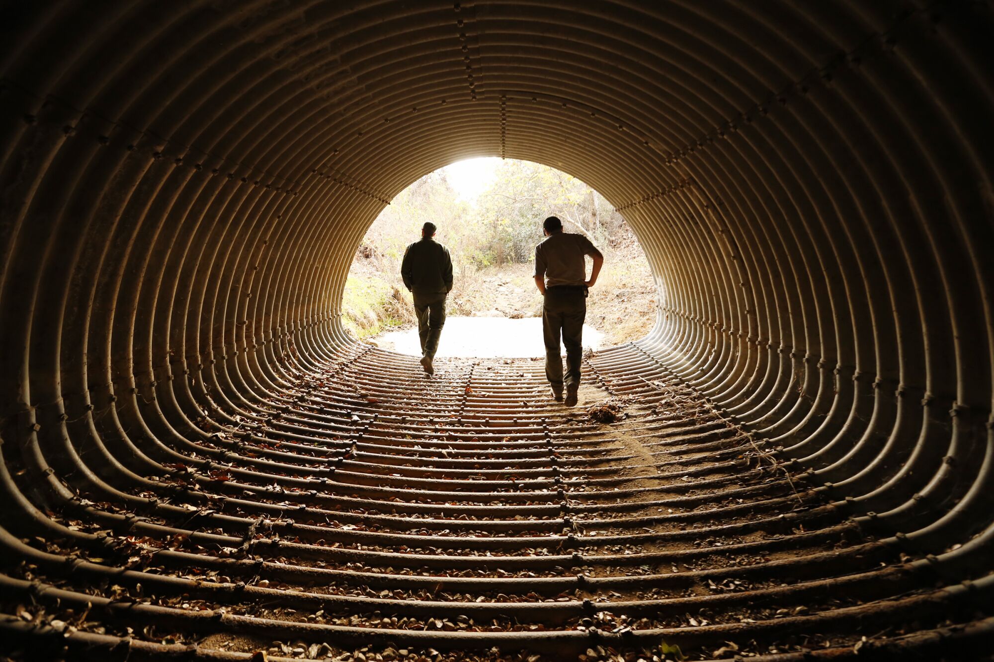 Two people walking through a tunnel toward a wooded area