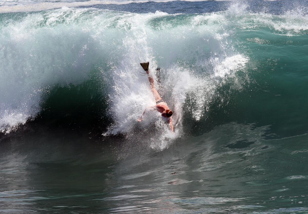 A body surfer drops down on a big wave at the Wedge.