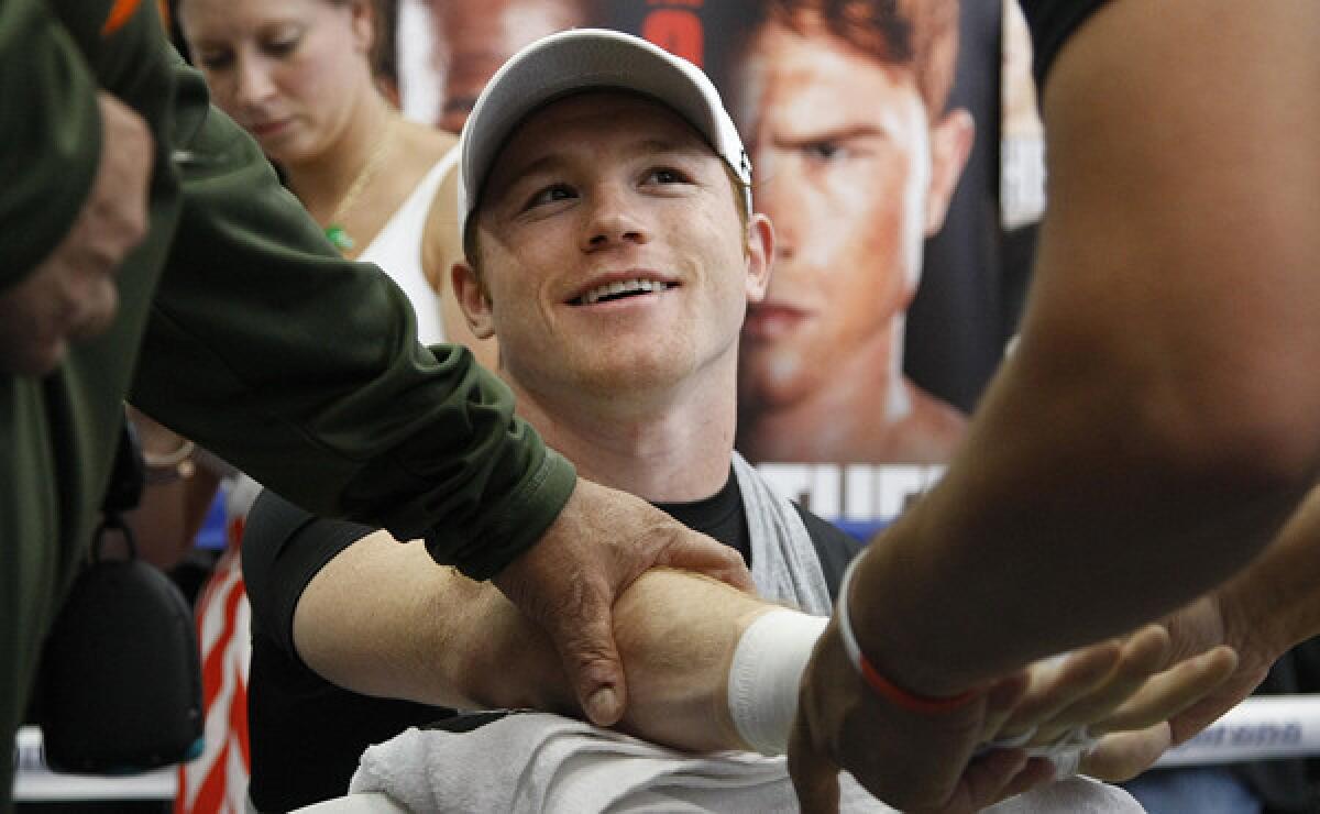 Saul 'Canelo' Alvarez is expected to meet countryman Alfredo Angulo in the ring on March 8 in Las Vegas.