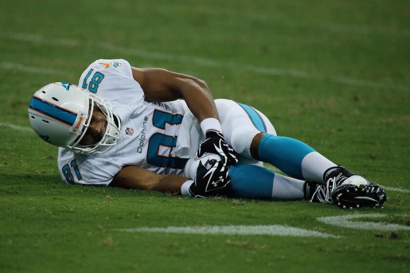 Miami Dolphins tight end Dustin Keller will miss the 2013 season after suffering a knee injury in a preseason game against the Houston Texans on Saturday.