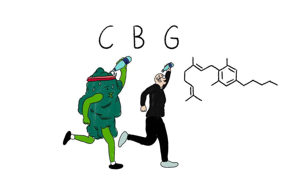 An illustration of a cartoon cannabis bud jogging and pouring water.