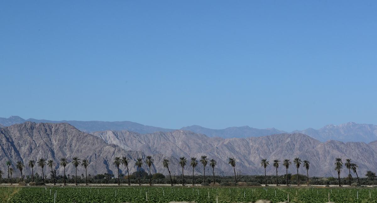 The rural outskirts of Coachella in February 2020.
