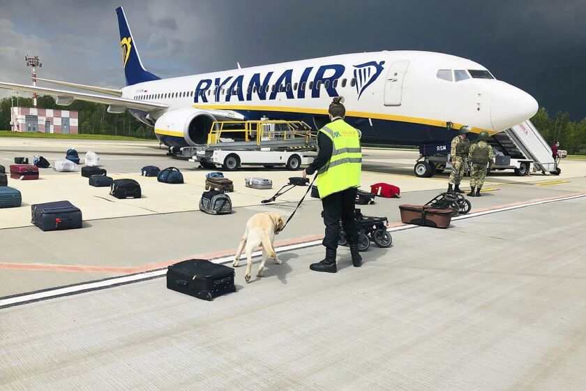 In this photo provided by ONLINER.BY, security use a sniffer dog to check the luggage of passengers on the Ryanair plane with registration number SP-RSM, carrying opposition figure Raman Pratasevich which was traveling from Athens to Vilnius and was diverted to Minsk after a bomb threat, in Minsk International airport, Sunday, May 23, 2021, in BelarusWestern leaders decried the diversion of a plane to Belarus in order to arrest an opposition journalist as an act of piracy and terrorism. The European Union and others on Monday demanded an investigation into the dramatic forced landing of the Ryanair jet. (ONLINER.BY via AP)