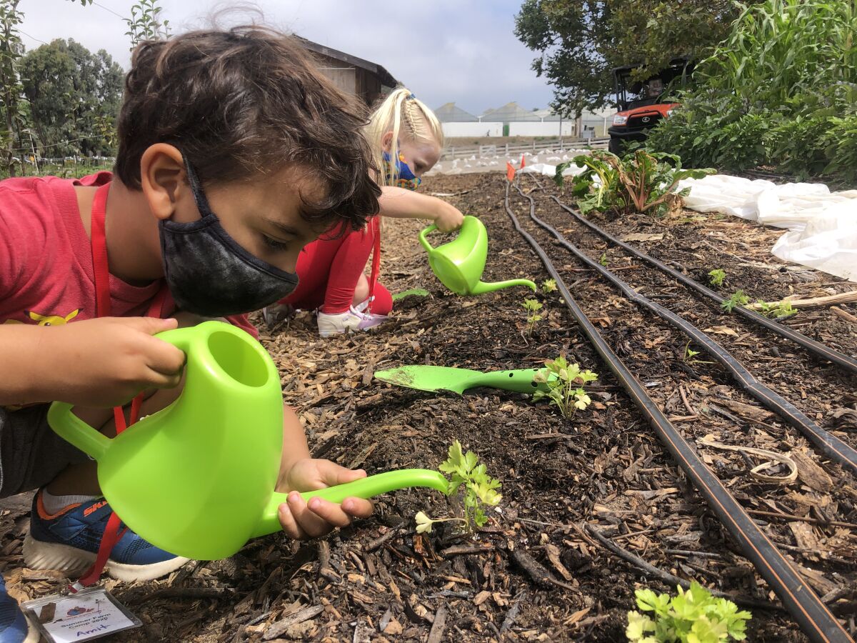 Children at a Farm Camp learn the joy of supporting the environment.