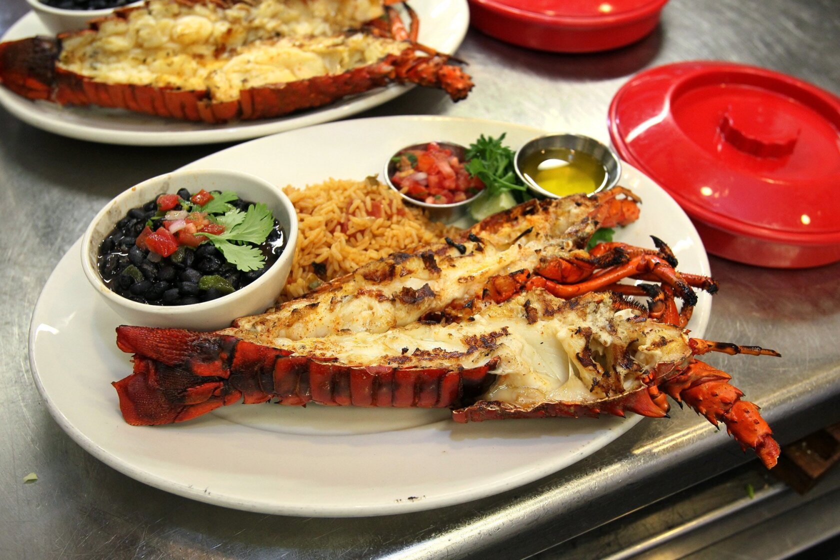 Lobster crawl is on in San Diego Bay - The San Diego Union-Tribune