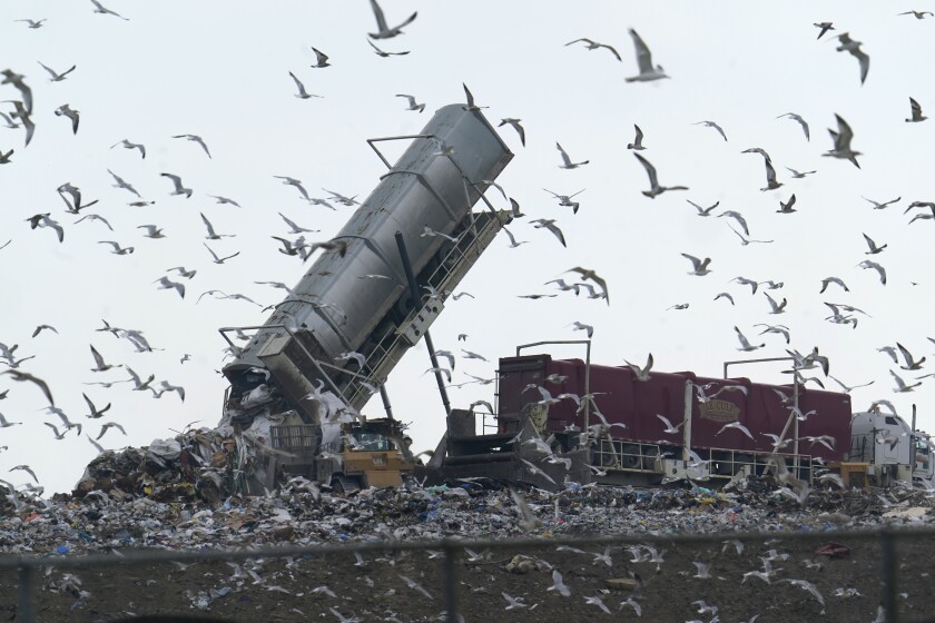 Birds fly as garbage is offloaded into the Pine Tree Acres Landfill in Lenox Township, Mich.
