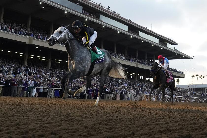 Joel Rosario rides Knicks Go, left, to victory during the Breeders' Cup Classic.