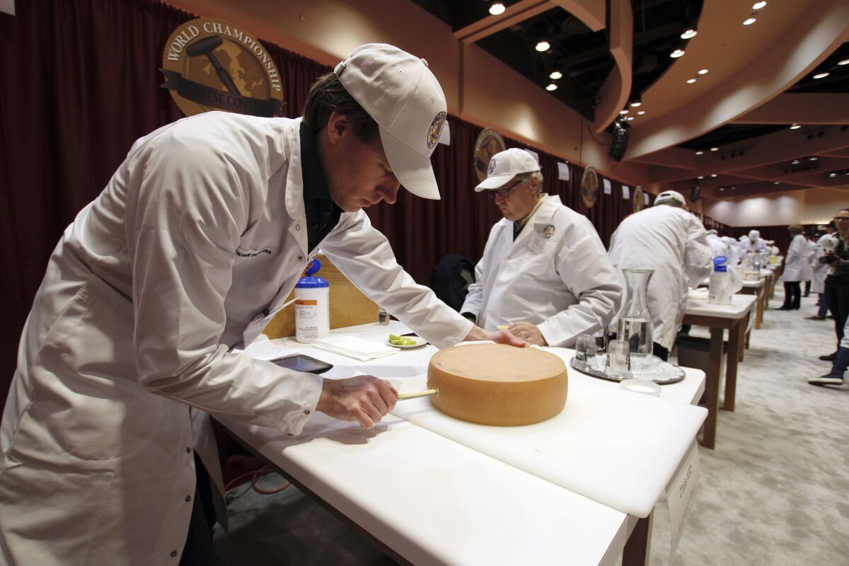 Judge Douwe Dijkstra pulls out a piece of Appenzeller cheese at the biennial World Championship Cheese Contest, Tuesday, March 3, 2020, at the Monona Terrace Convention Center in Madison, Wis. It's the largest technical cheese, butter and yogurt competition in the world. This year the competition had a record 3,667 entries from 26 nations. (AP Photo/Carrie Antlfinger)