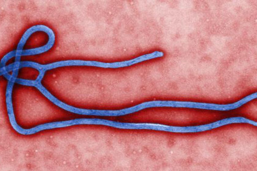 A number of different drugs have been used to treat the Ebola virus in the United States.