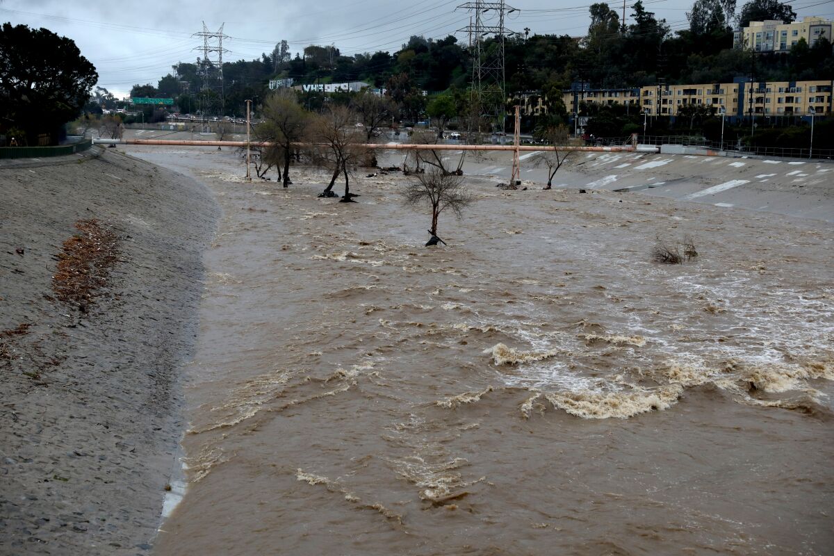 Water moves swiftly down the rain-swollen Glendale Narrows section of the Los Angeles River in Atwater Village on Feb. 25.