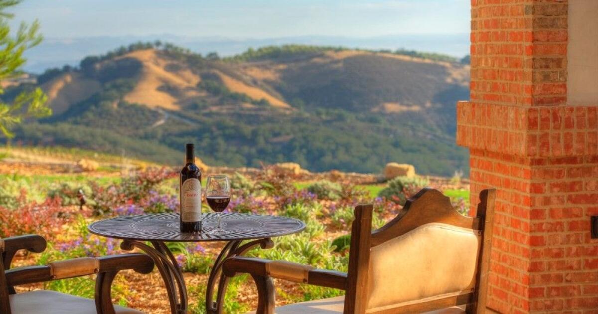 Gelson’s will present “An Online Tasting with Daou” on Thursday, Feb. 10.