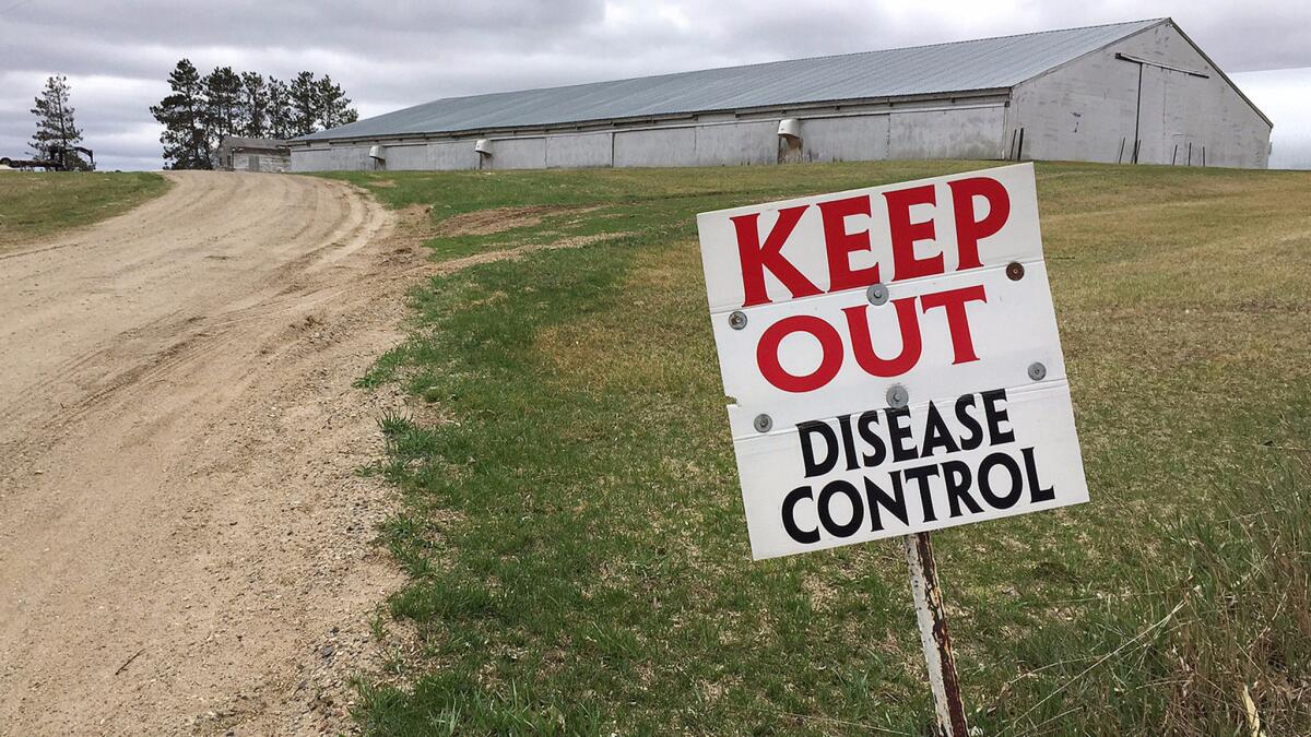 A sign warns visitors to stay away from an infected turkey farm in 2015 in Melrose, Minn.