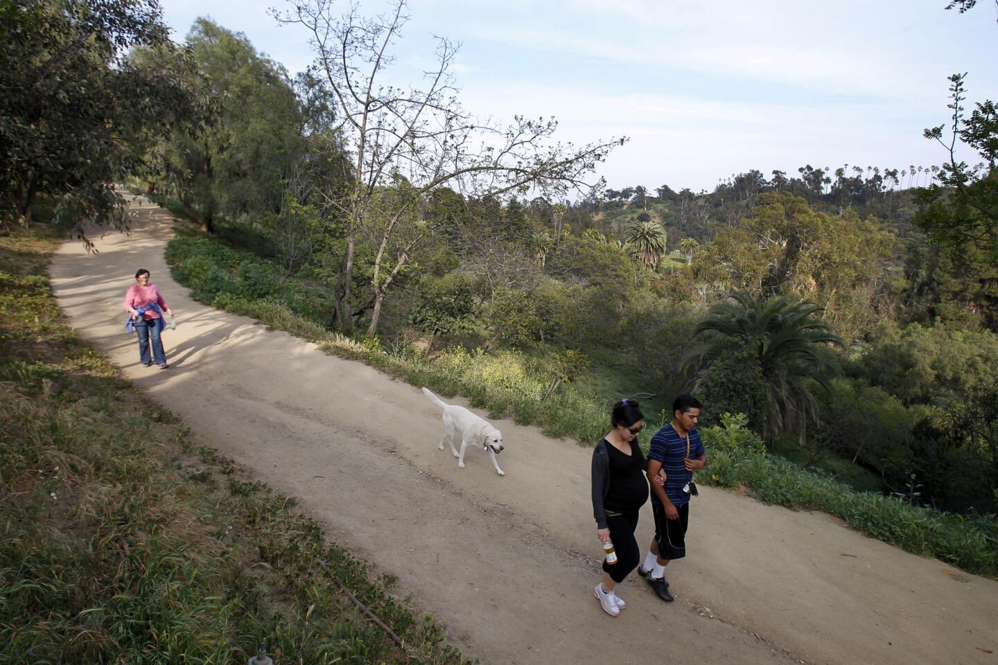 L.A. Walks: Follow the winding path at Elysian Park