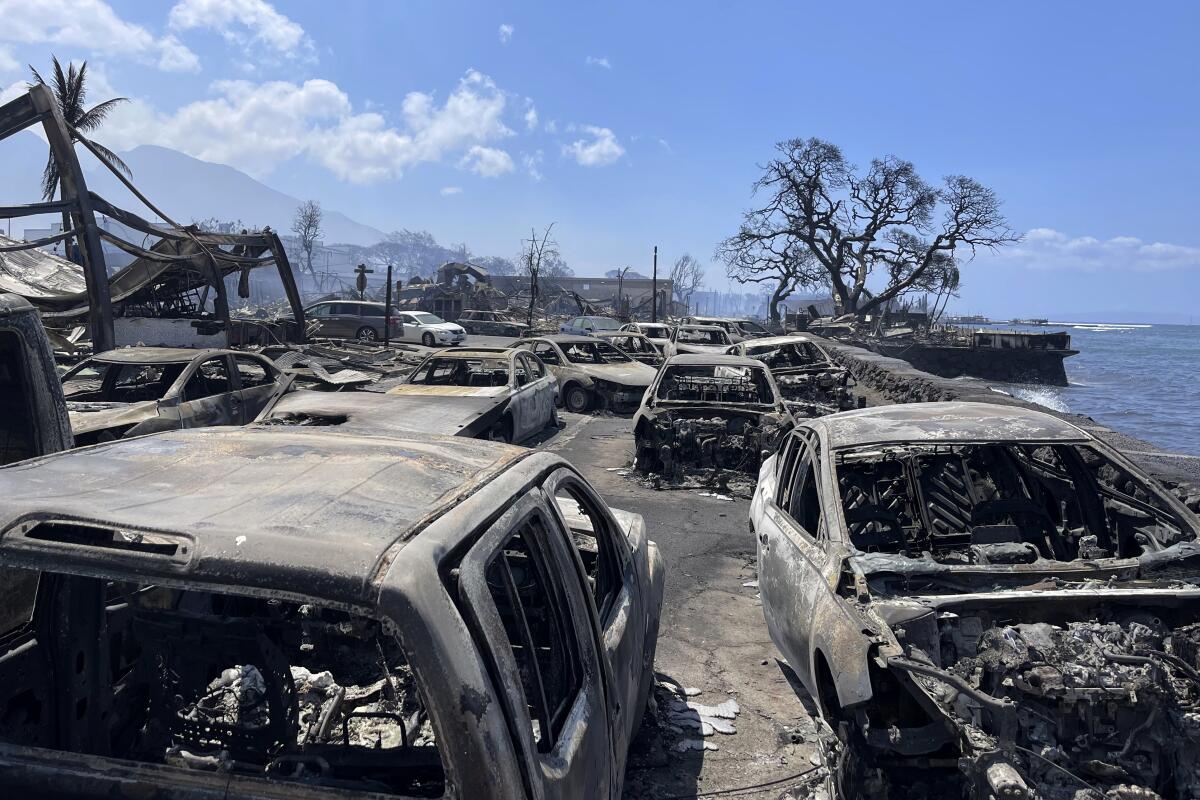 Burned-out cars in Lahaina, Hawaii, show the devastation from the wildfire in Maui.
