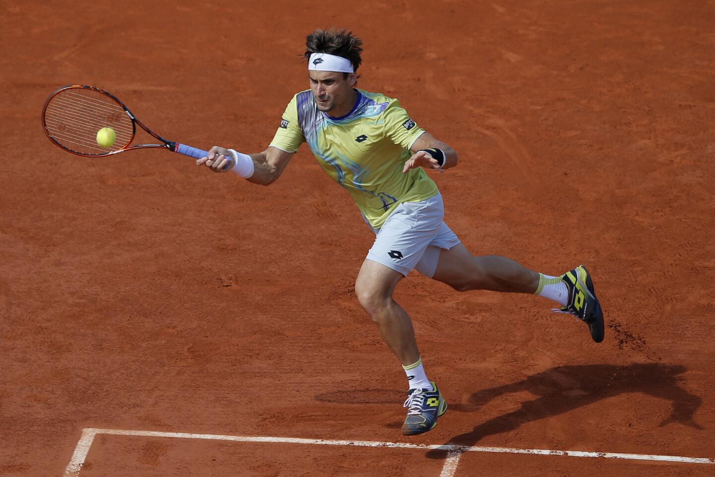 David Ferrer