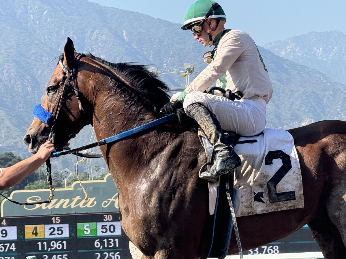 Eagles Flight, the 3-year-old half brother to 2022 Horse of the Year Flightline, made an impressive winning debut,