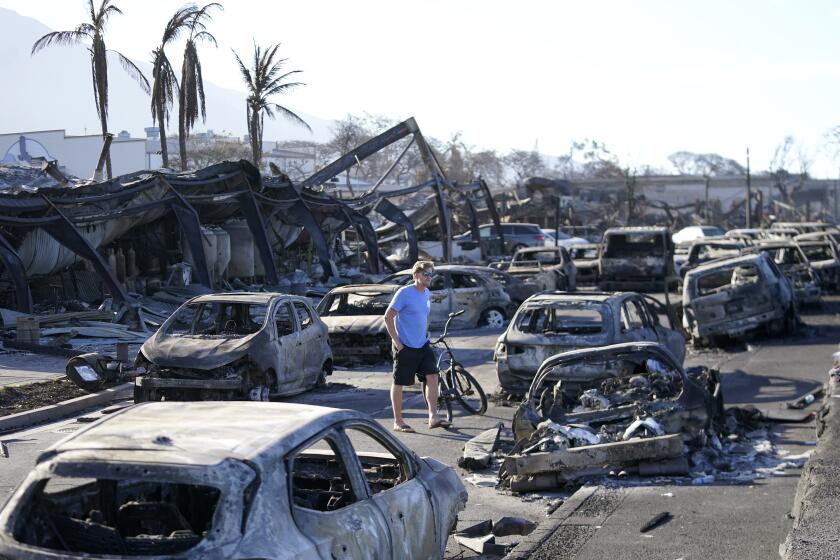 FILE - A man walks through wildfire wreckage in Lahaina, Hawaii, Aug. 11, 2023. Federal authorities have started removing hazardous materials from the Maui wildfires and laying the groundwork to dispose of burnt cars, buildings and other debris. The hazardous materials, including oil, solvent and batteries, are being shipped to the West Coast while the U.S. Army Corps of Engineers works with local officials to develop a plan to dispose of an estimated 400,000 to 700,000 tons of debris on the island. (AP Photo/Rick Bowmer, File)