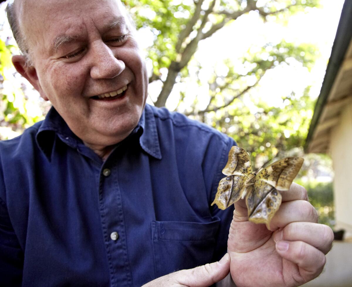 South African butterfly expert Mark Williams shows one of his finds. In the case of butterflies that are nearly extinct, the act of killing the insect may surprise outsiders, but lepidopterists insist that taking a few specimens of rare species is essential, given the complications of identifying the insects accurately.