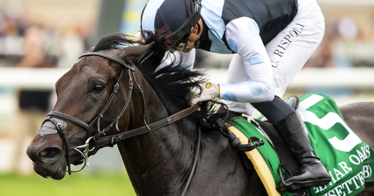 Umberto Rispoli se rallie depuis la dernière place et remporte Del Mark Oaks lors de la dernière épreuve avant l’arrivée de la tempête