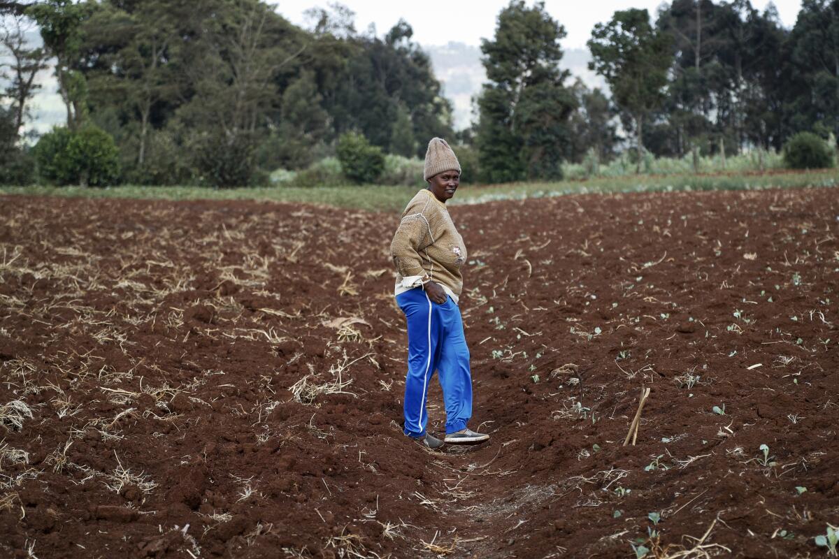 Monicah Wanjiku inspecciona sus tierras de cultivo en Kiambu, cerca de Nairobi (Kenia),