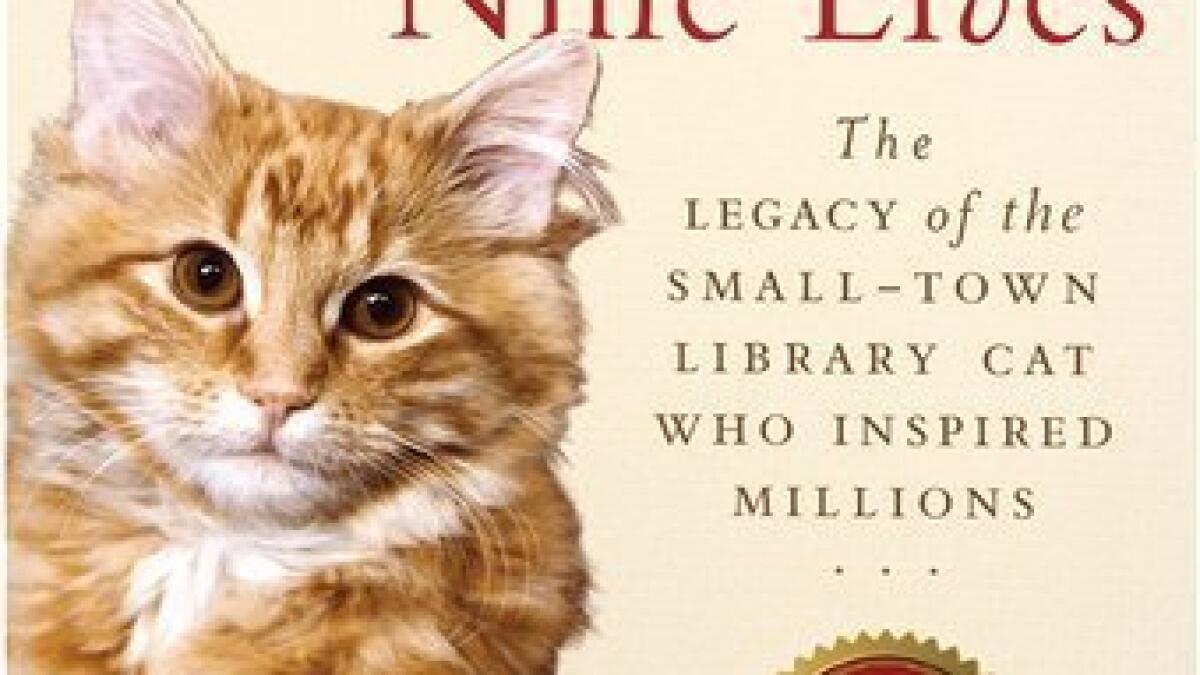 Dewey the Library Cat: A True Story - by Vicki Myron & Bret Witter  (Paperback)