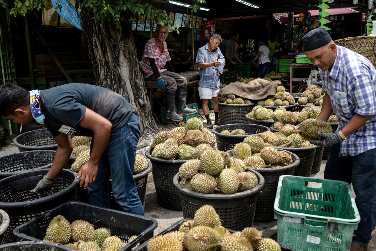 Tan Eow Chong, center, talks on the phone as people sort through baskets full of durian at Durian Kaki, his roadside durian stall in Bayan Lepas, Malaysia. (Suzanne Lee / For The Times)